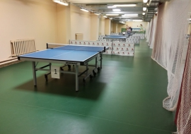 Спортивное покрытие для залов настольного тенниса г. Екатеринбурга